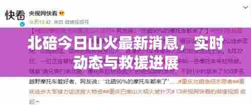 北碚今日山火最新消息，实时动态与救援进展