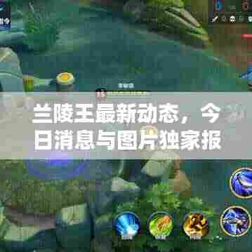 兰陵王最新动态，今日消息与图片独家报道