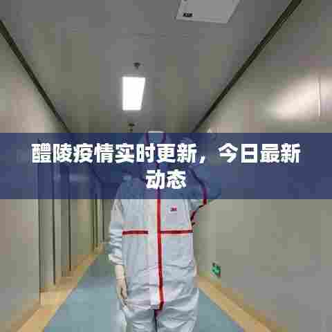 醴陵疫情实时更新,今日最新动态