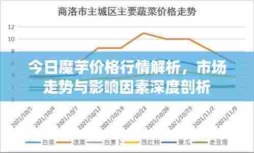 今日魔芋价格行情解析,市场走势与影响因素深度剖析