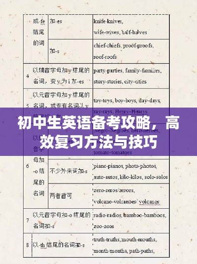 初中生英语备考攻略，高效复习方法与技巧