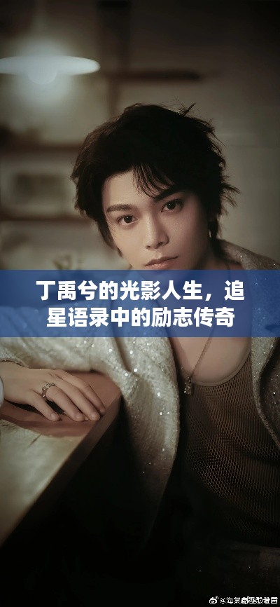丁禹兮的光影人生，追星语录中的励志传奇