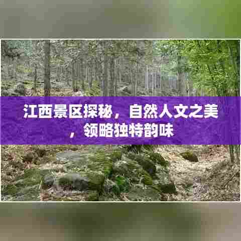 江西景区探秘,自然人文之美,领略独特韵味