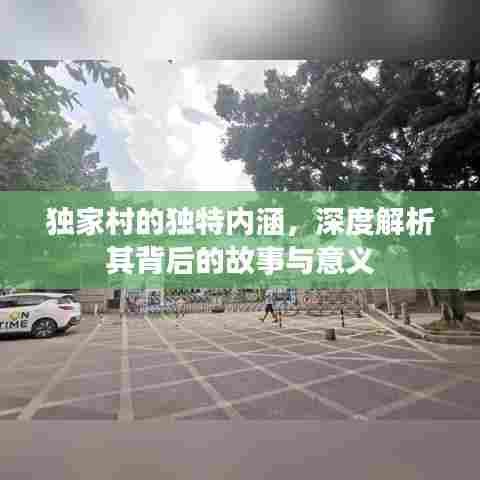 独家村的独特内涵,深度解析其背后的故事与意义