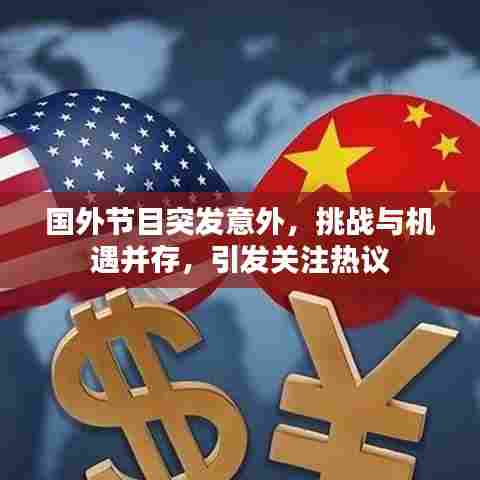 国外节目突发意外,挑战与机遇并存,引发关注热议