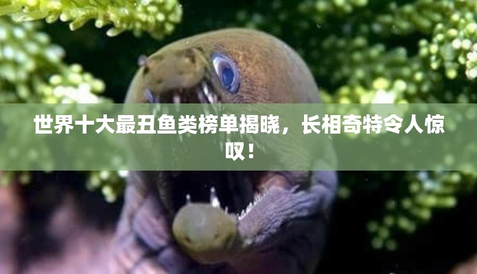 世界十大最丑鱼类榜单揭晓，长相奇特令人惊叹！