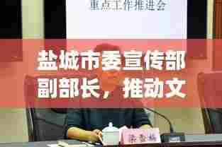 盐城市委宣传部副部长，推动文化繁荣的关键力量引领者