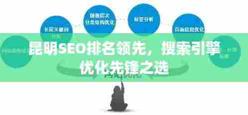 昆明SEO排名领先，搜索引擎优化先锋之选