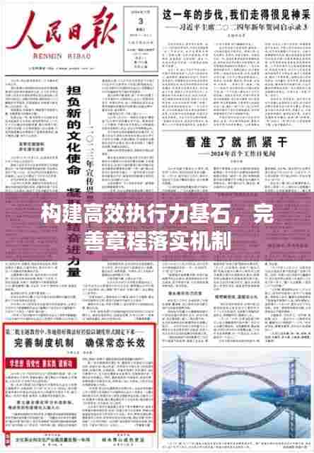 构建高效执行力基石,完善章程落实机制