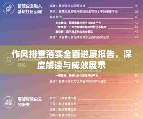 作风排查落实全面进展报告，深度解读与成效展示