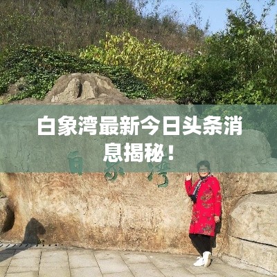 白象湾最新今日头条消息揭秘!