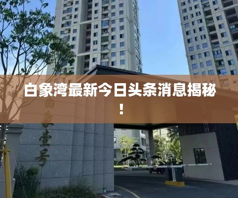 白象湾最新今日头条消息揭秘!