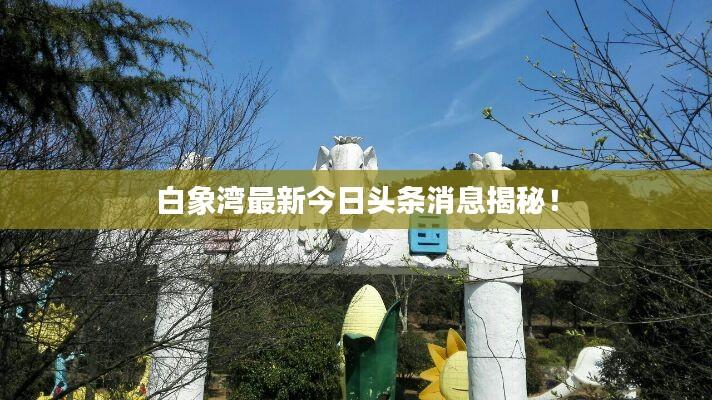白象湾最新今日头条消息揭秘!