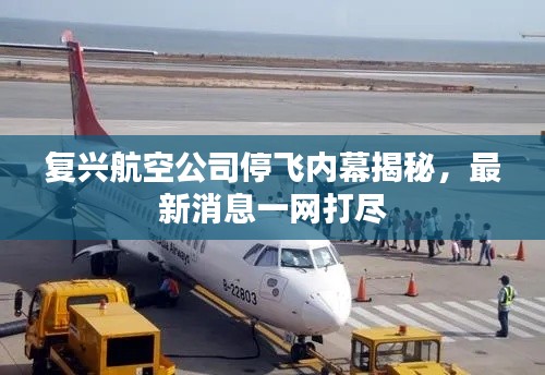 复兴航空公司停飞内幕揭秘,最新消息一网打尽