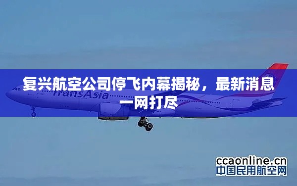 复兴航空公司停飞内幕揭秘,最新消息一网打尽