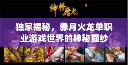 独家揭秘，赤月火龙单职业游戏世界的神秘面纱