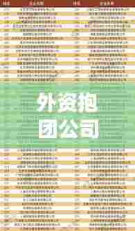 外资抱团公司全球排名榜单揭晓，企业实力大比拼！