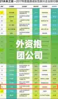 外资抱团公司全球排名榜单揭晓,企业实力大比拼!