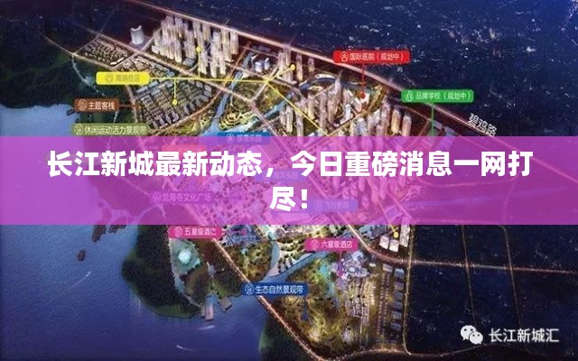 长江新城最新动态,今日重磅消息一网打尽!
