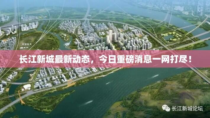 长江新城最新动态,今日重磅消息一网打尽!