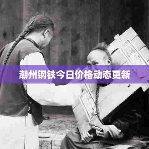 潮州钢铁今日价格动态更新