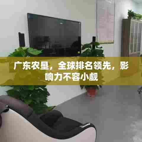 虫蚀鸟步 第6页