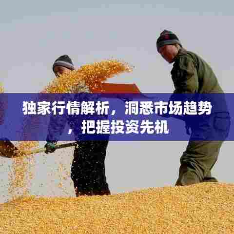 独家行情解析，洞悉市场趋势，把握投资先机