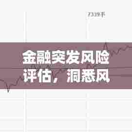 金融突发风险评估，洞悉风险、迎战挑战的策略指南