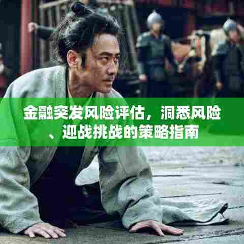 金融突发风险评估,洞悉风险、迎战挑战的策略指南