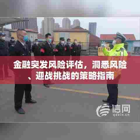 金融突发风险评估,洞悉风险、迎战挑战的策略指南