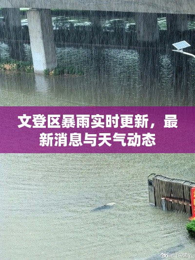 文登区暴雨实时更新，最新消息与天气动态