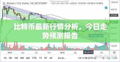 比特币最新行情分析,今日走势预测报告
