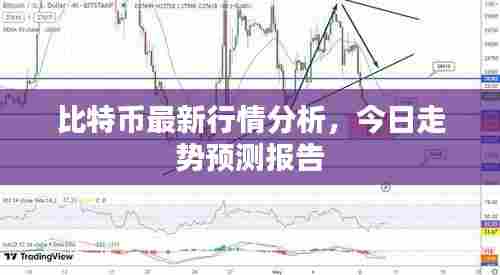 比特币最新行情分析,今日走势预测报告