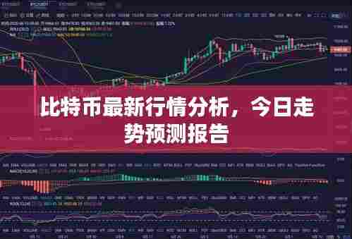 比特币最新行情分析,今日走势预测报告