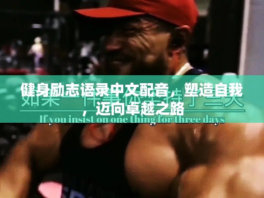 健身励志语录中文配音，塑造自我，迈向卓越之路