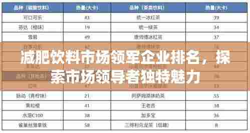 减肥饮料市场领军企业排名,探索市场领导者独特魅力