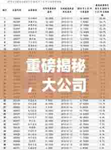重磅揭秘，大公司分公司排名及影响力深度解析