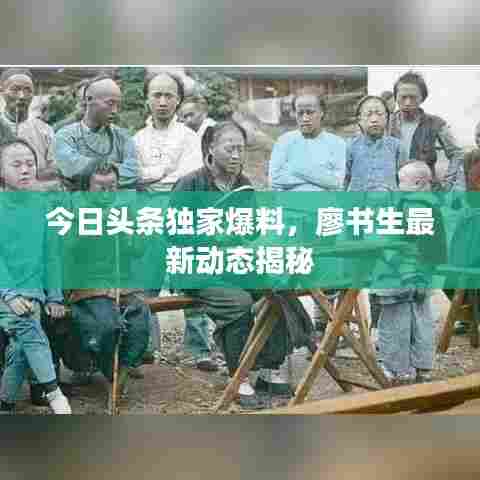 今日头条独家爆料,廖书生最新动态揭秘