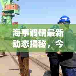 海事调研最新动态揭秘，今日消息一览