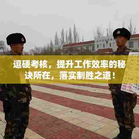 逗硬考核，提升工作效率的秘诀所在，落实制胜之道！