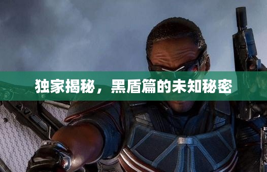独家揭秘，黑盾篇的未知秘密
