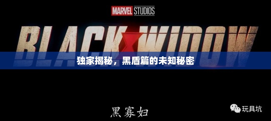 独家揭秘,黑盾篇的未知秘密