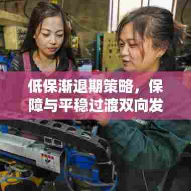 低保渐退期策略,保障与平稳过渡双向发力