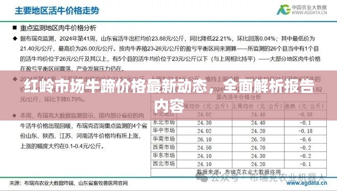 红岭市场牛蹄价格最新动态,全面解析报告内容