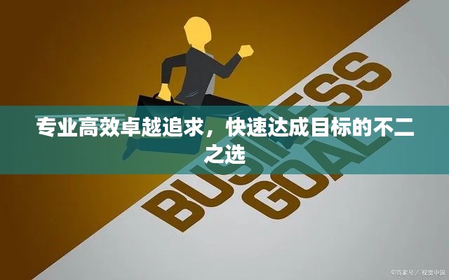专业高效卓越追求，快速达成目标的不二之选