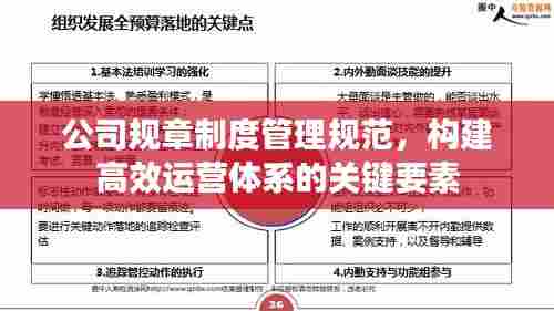 公司规章制度管理规范,构建高效运营体系的关键要素