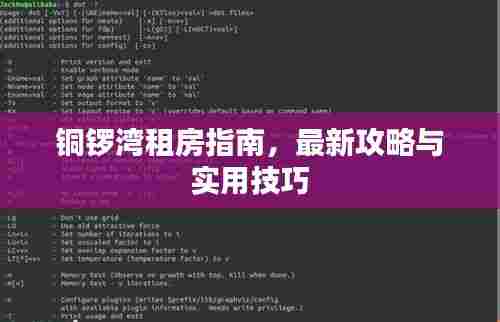 铜锣湾租房指南,最新攻略与实用技巧