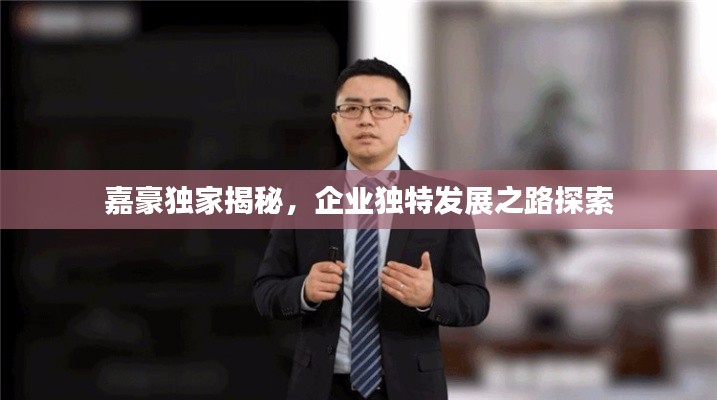 嘉豪独家揭秘，企业独特发展之路探索