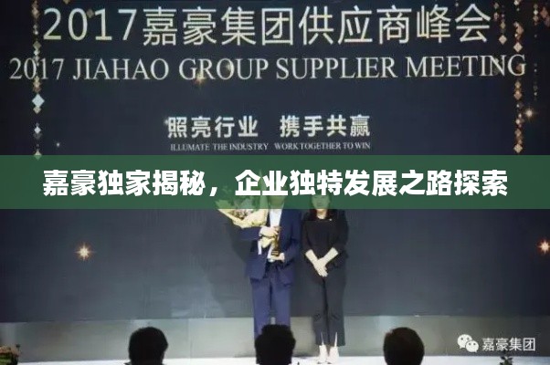 嘉豪独家揭秘,企业独特发展之路探索