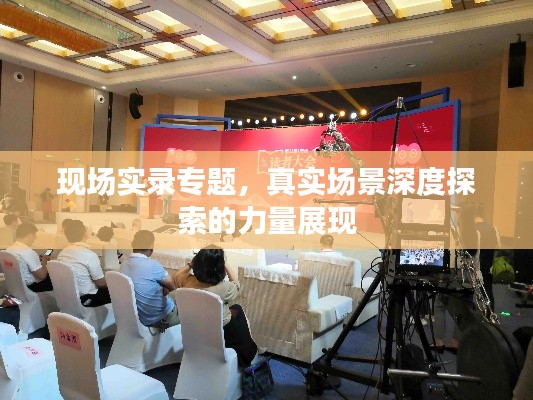 现场实录专题,真实场景深度探索的力量展现